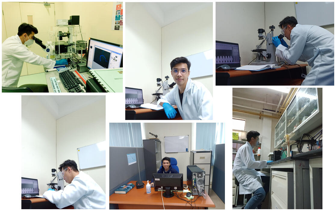 Laboratory works during the period of master study.